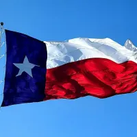 Texas Flag