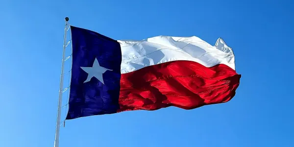 Texas Flag